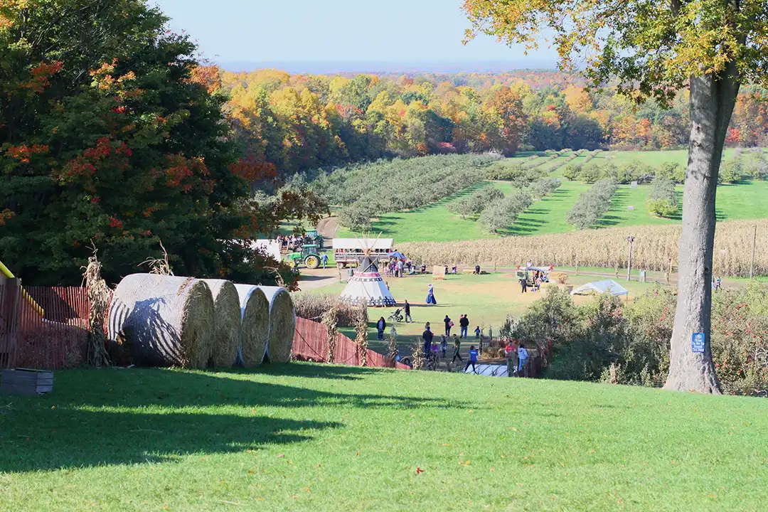 Mapleside Farms