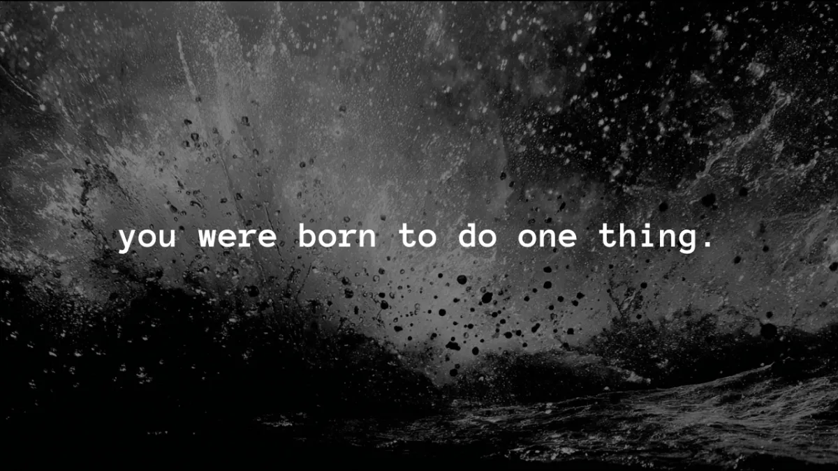 You Were Born To Do One Thing